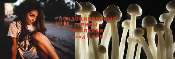 каннабис Богданович