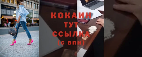 твердый Богородск