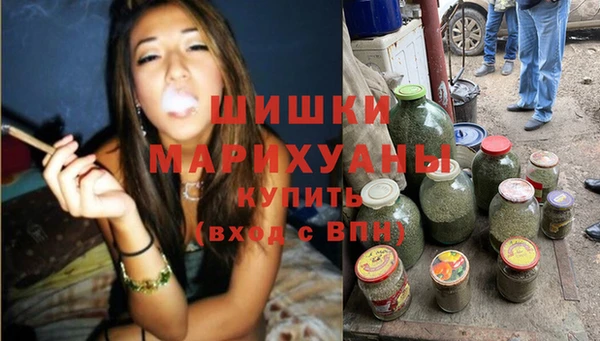 твердый Богородск