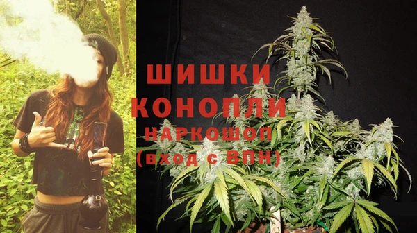 каннабис Богданович