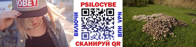 нарко площадка Telegram Уссурийск Псилоцибиновые грибы ЛСД даркнет сайт